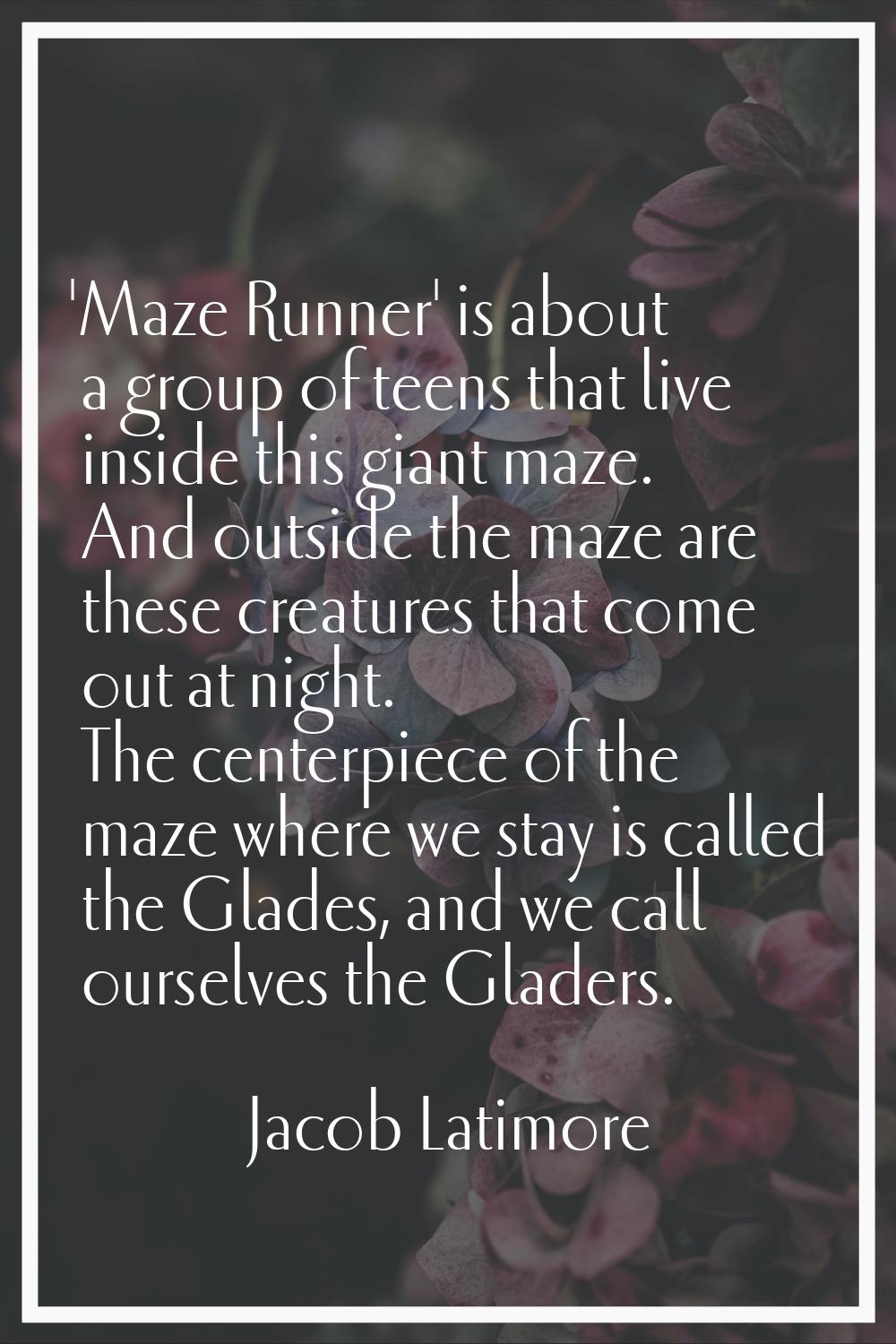 'Maze Runner' is about a group of teens that live inside this giant maze. And outside the maze are 