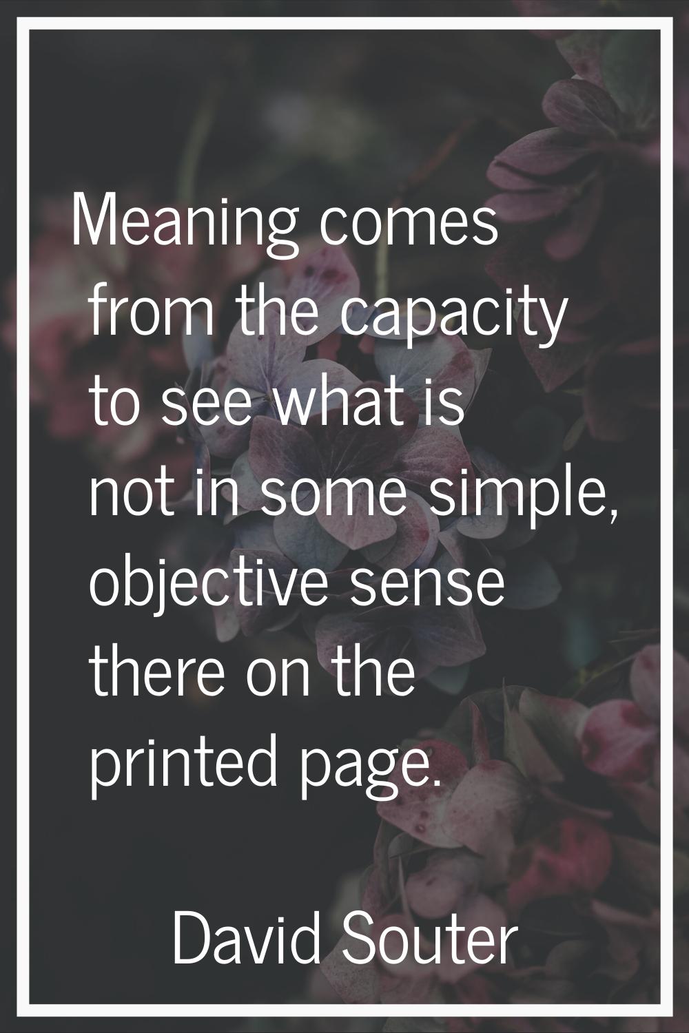 Meaning comes from the capacity to see what is not in some simple, objective sense there on the pri