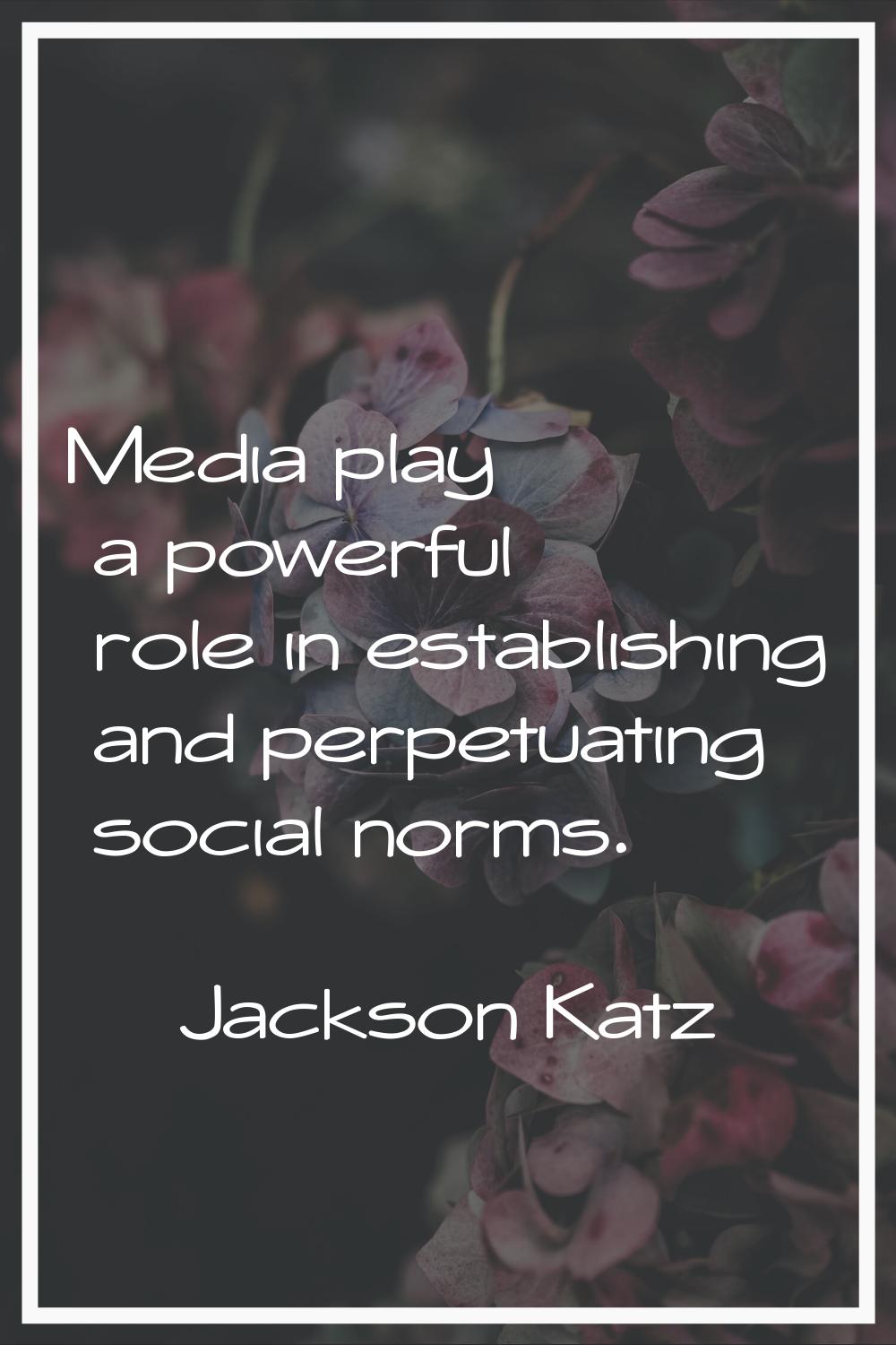 Media play a powerful role in establishing and perpetuating social norms.