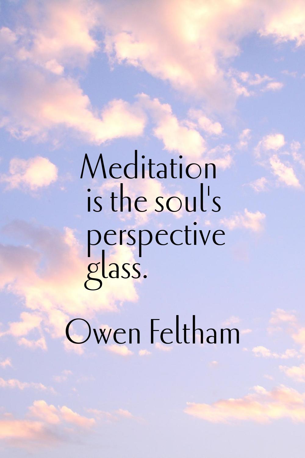Meditation is the soul's perspective glass.