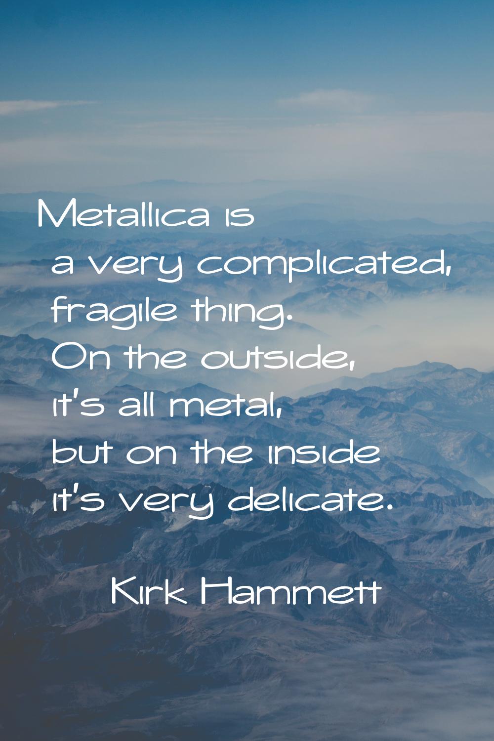 Metallica is a very complicated, fragile thing. On the outside, it's all metal, but on the inside i