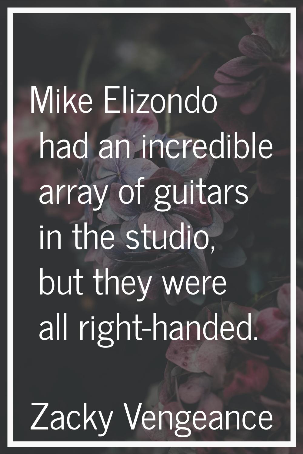 Mike Elizondo had an incredible array of guitars in the studio, but they were all right-handed.