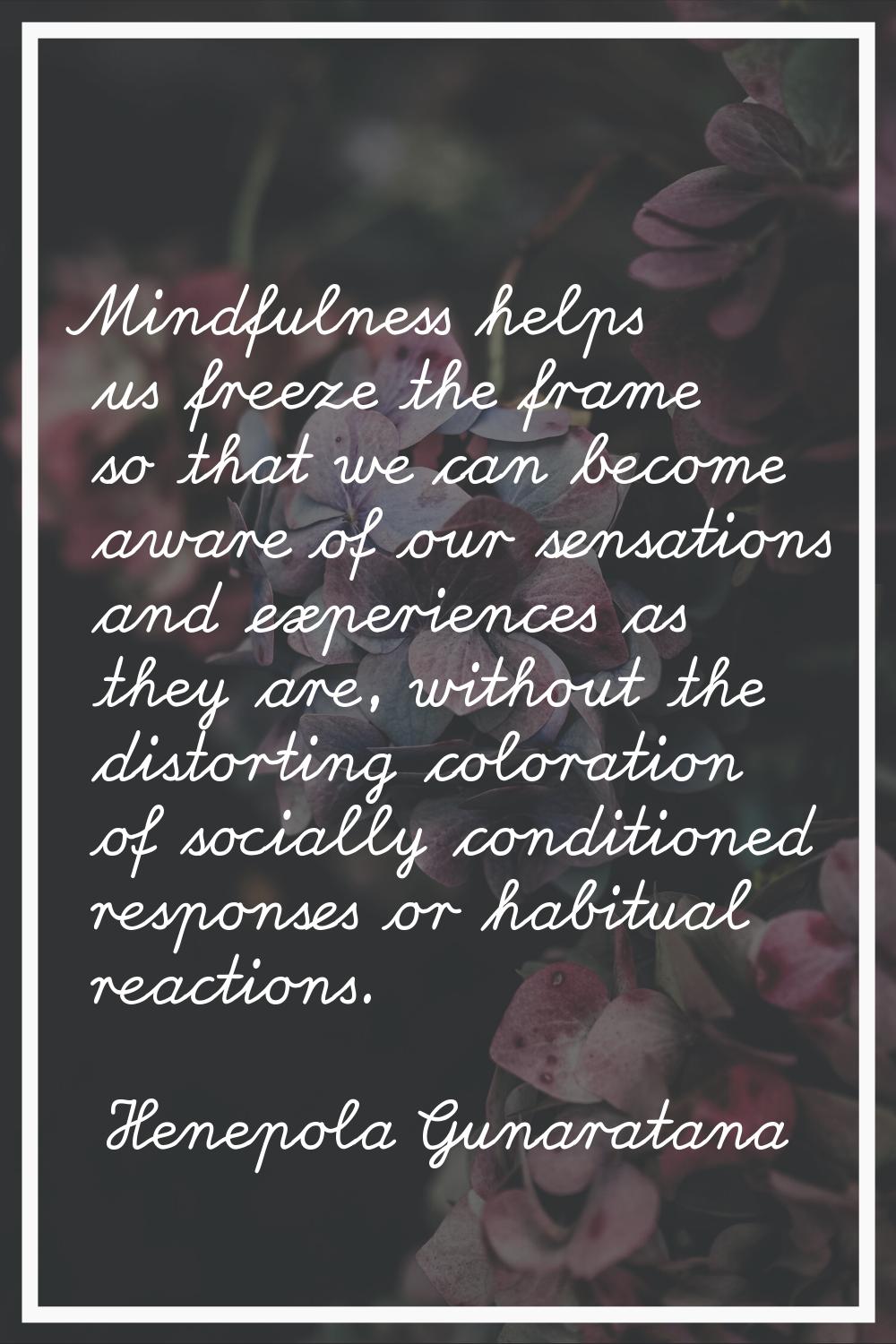 Mindfulness helps us freeze the frame so that we can become aware of our sensations and experiences