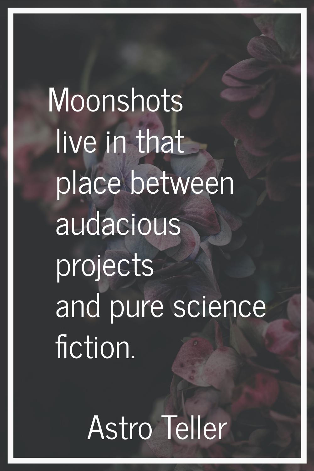 Moonshots live in that place between audacious projects and pure science fiction.