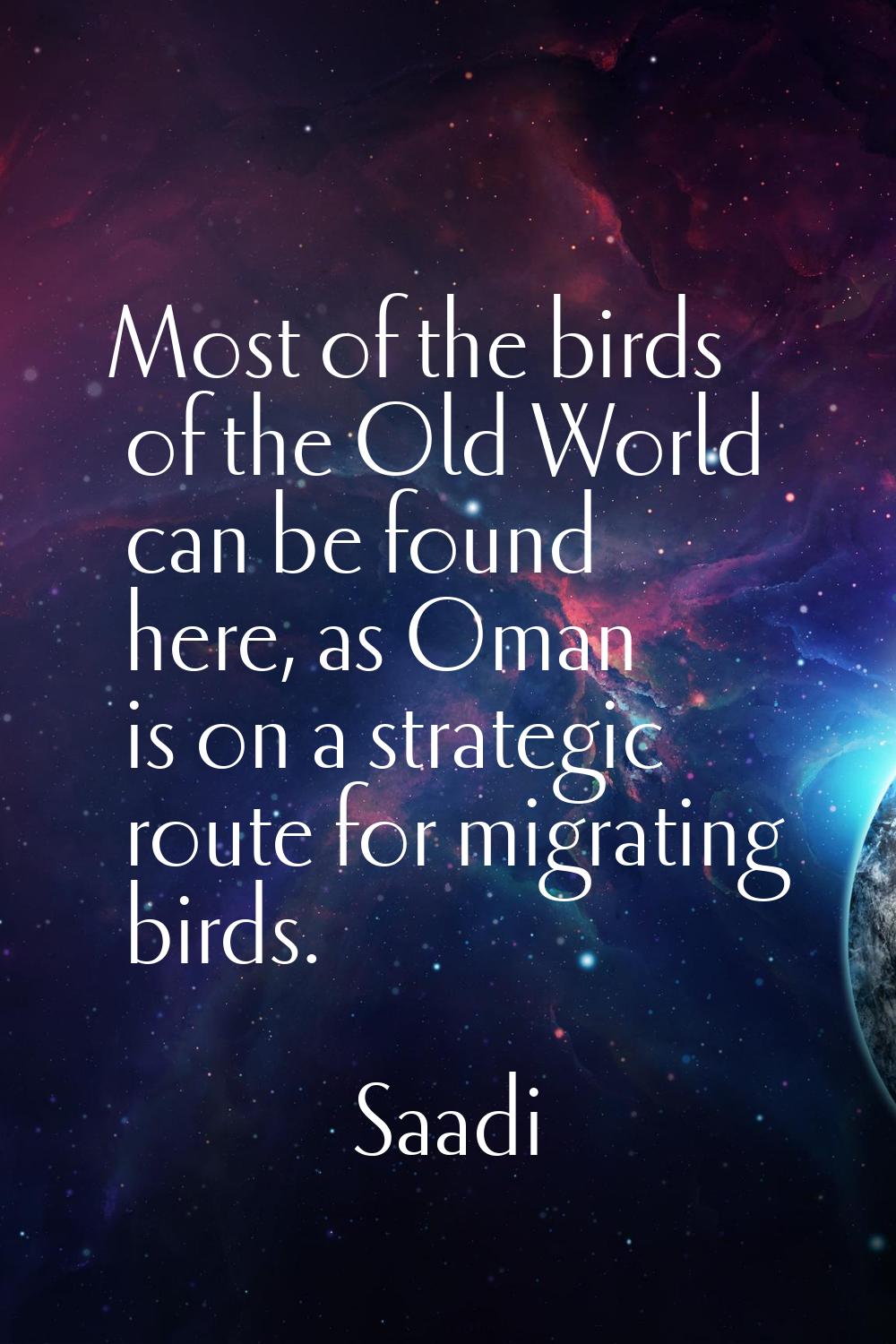 Most of the birds of the Old World can be found here, as Oman is on a strategic route for migrating
