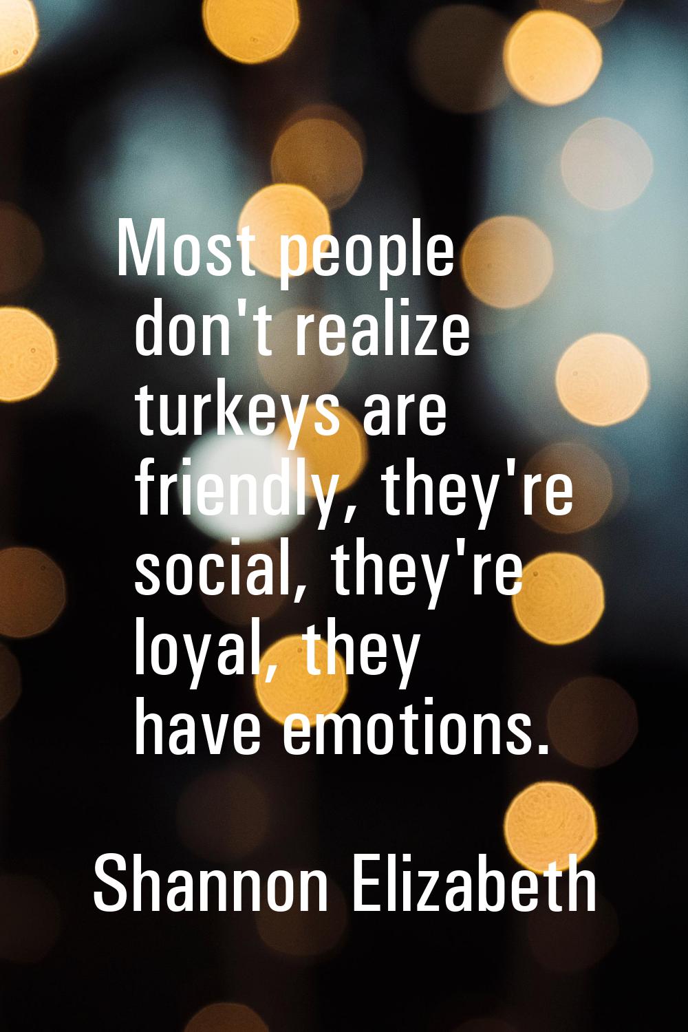 Most people don't realize turkeys are friendly, they're social, they're loyal, they have emotions.