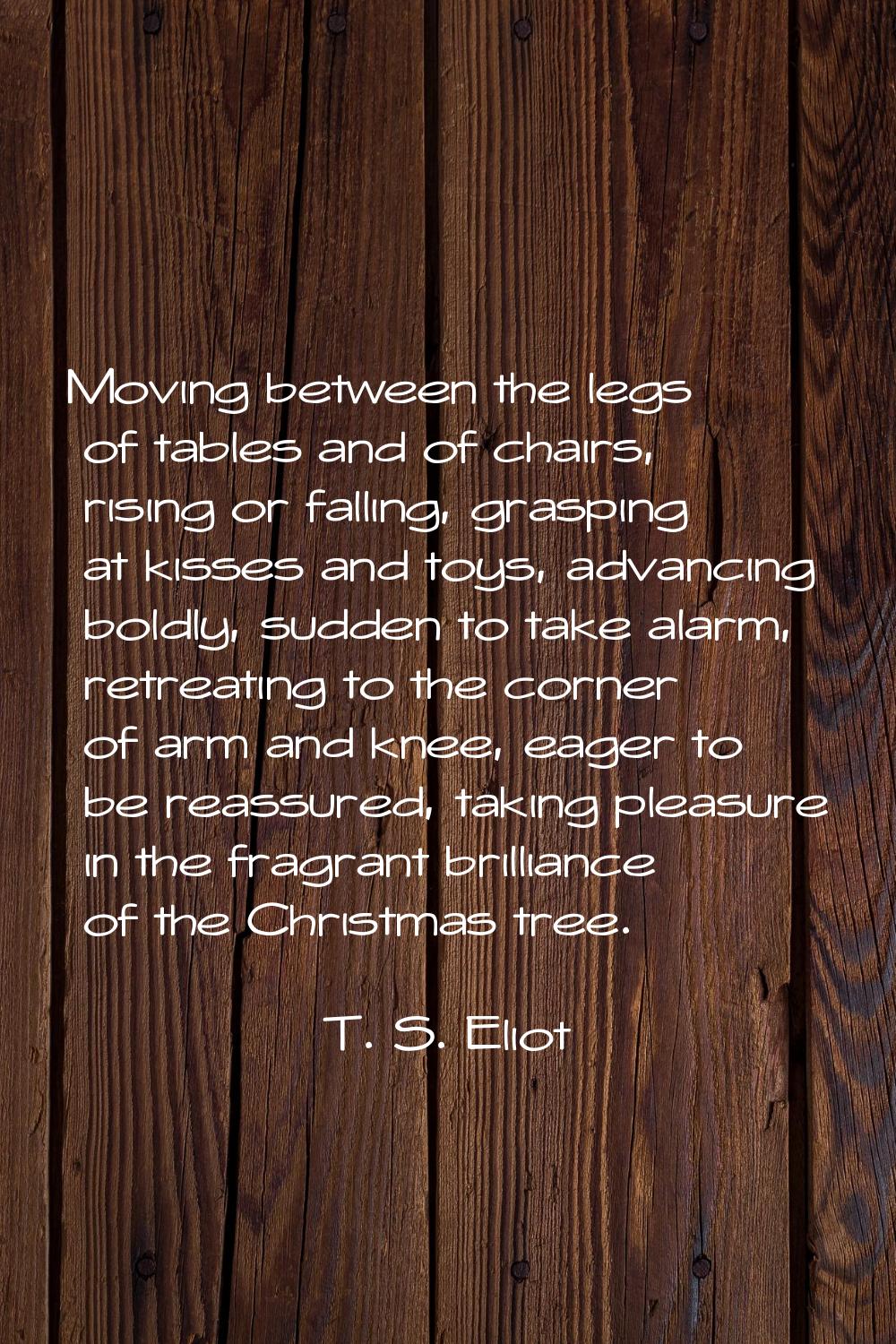 Moving between the legs of tables and of chairs, rising or falling, grasping at kisses and toys, ad