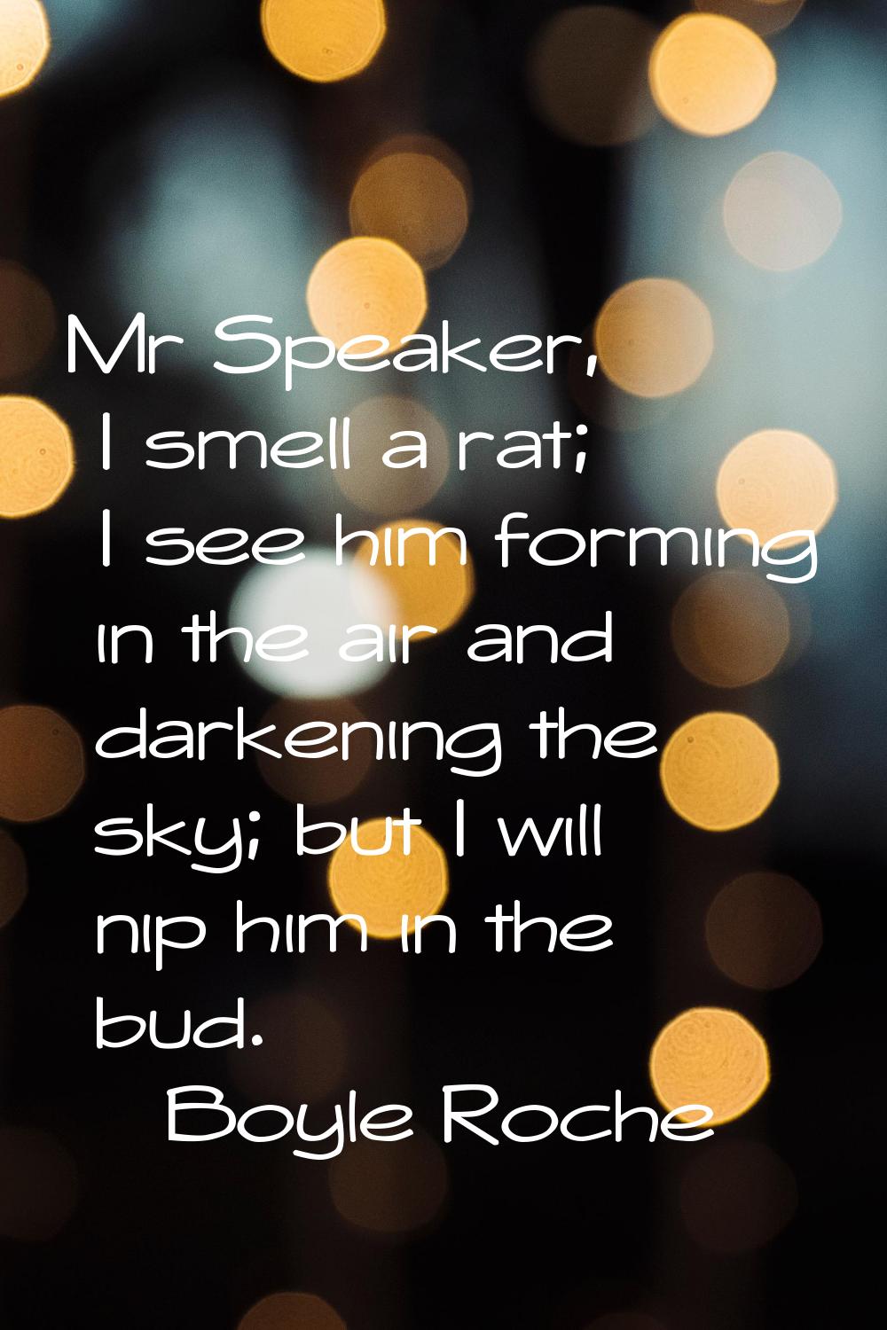 Mr Speaker, I smell a rat; I see him forming in the air and darkening the sky; but I will nip him i