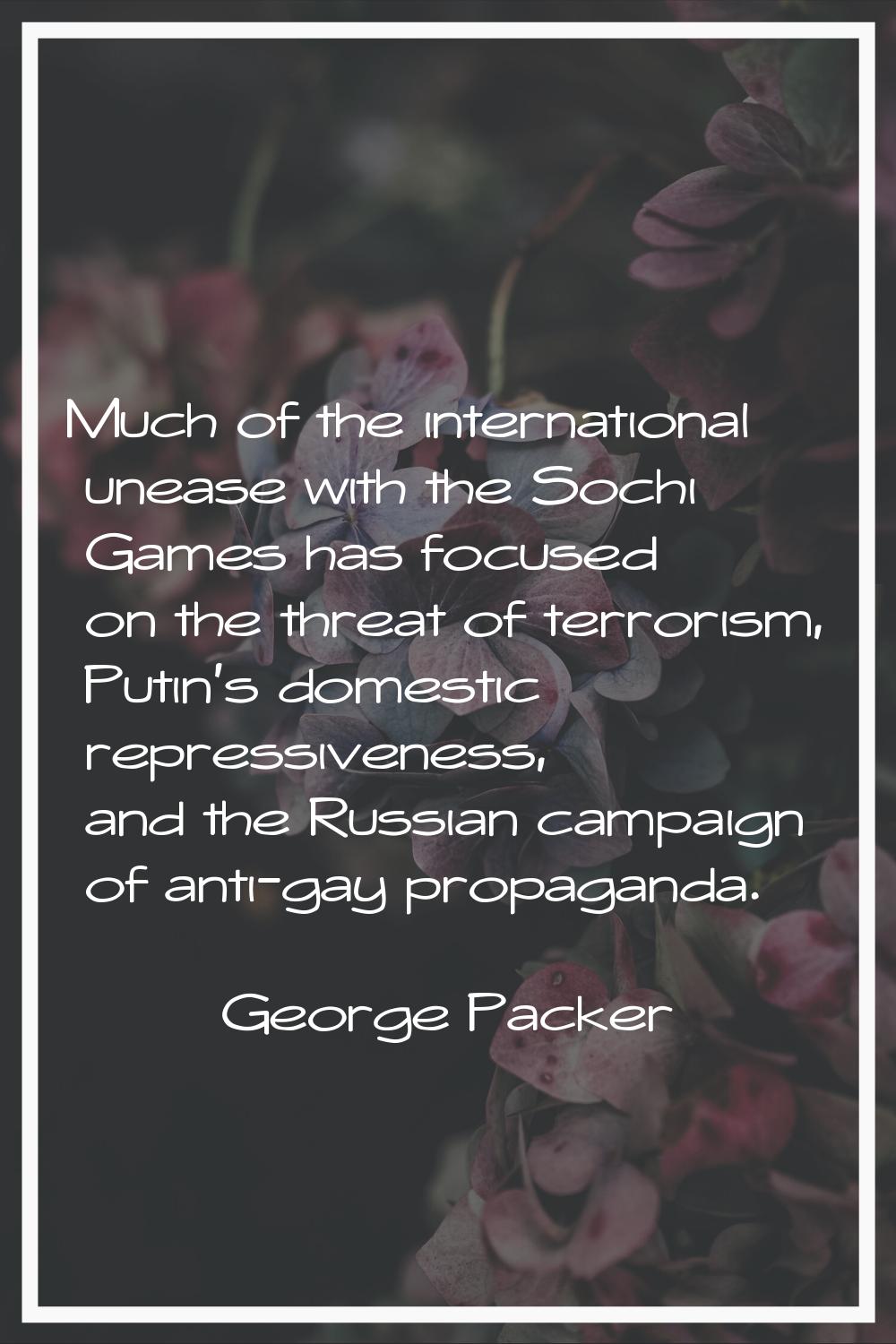 Much of the international unease with the Sochi Games has focused on the threat of terrorism, Putin