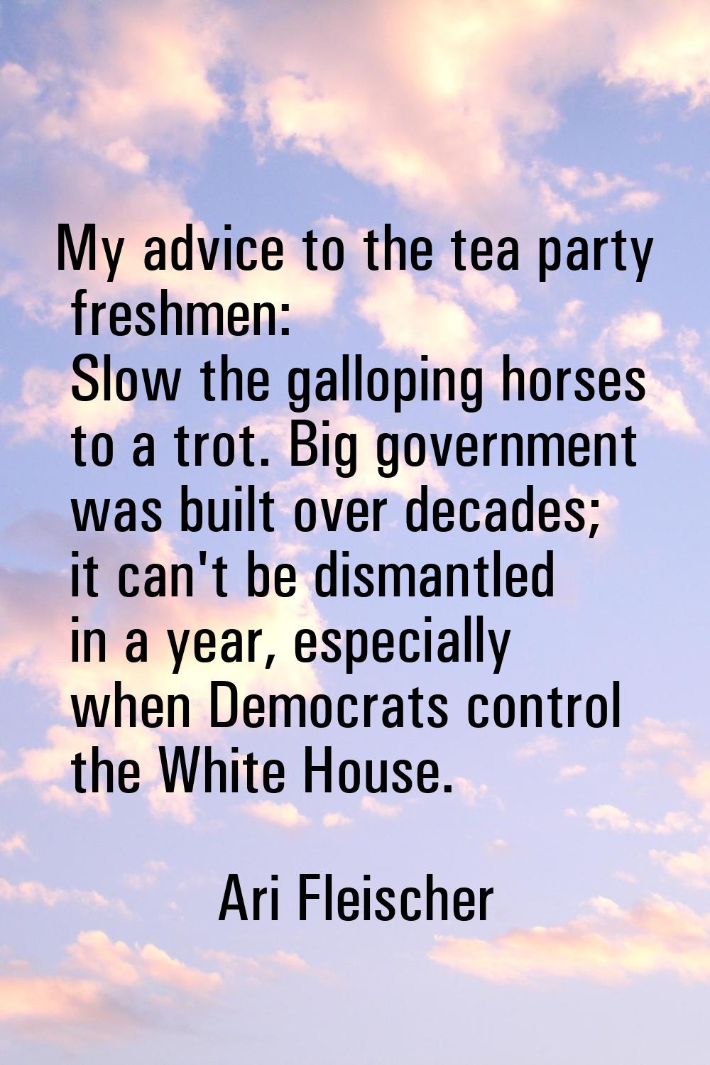 My advice to the tea party freshmen: Slow the galloping horses to a trot. Big government was built 