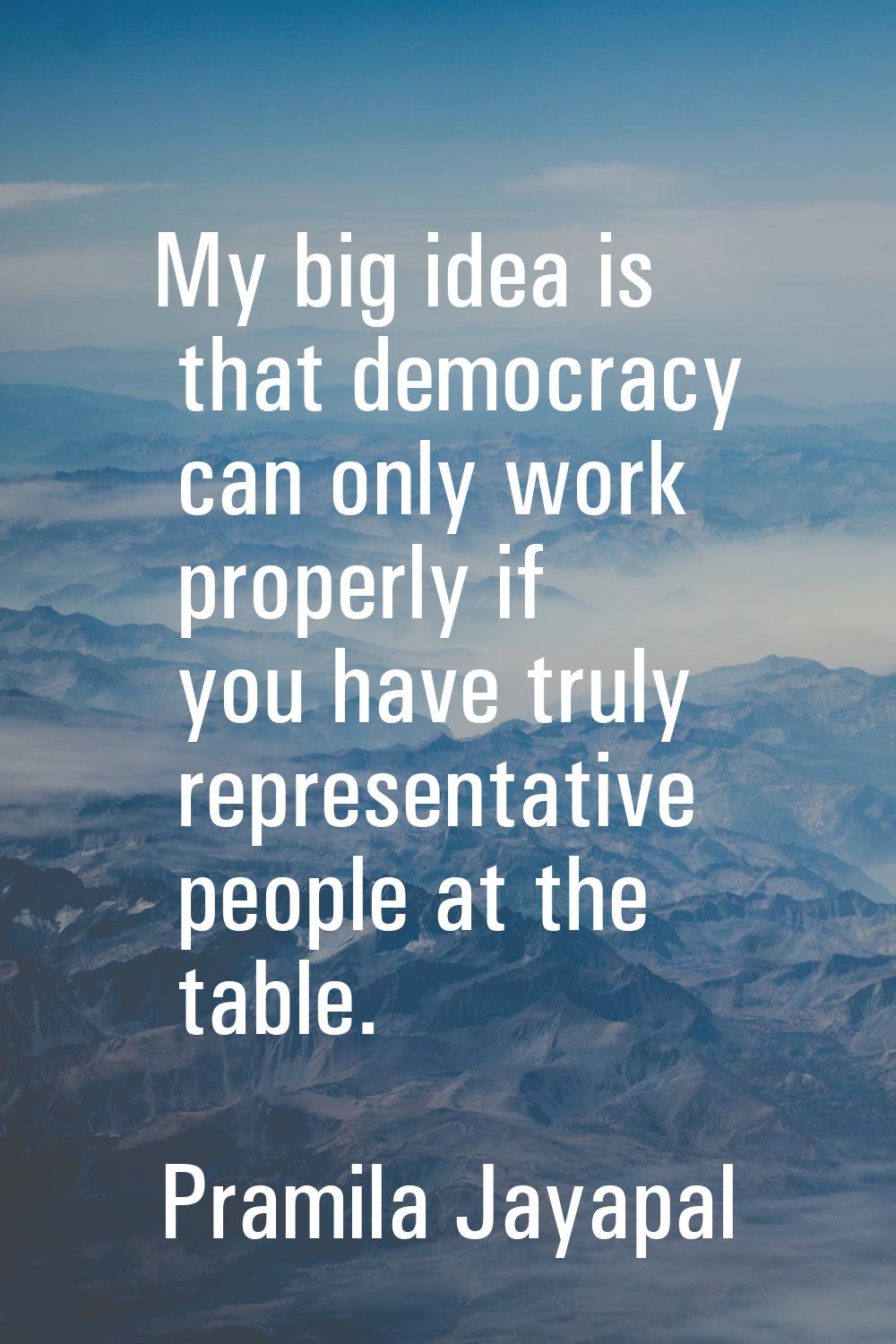 My big idea is that democracy can only work properly if you have truly representative people at the