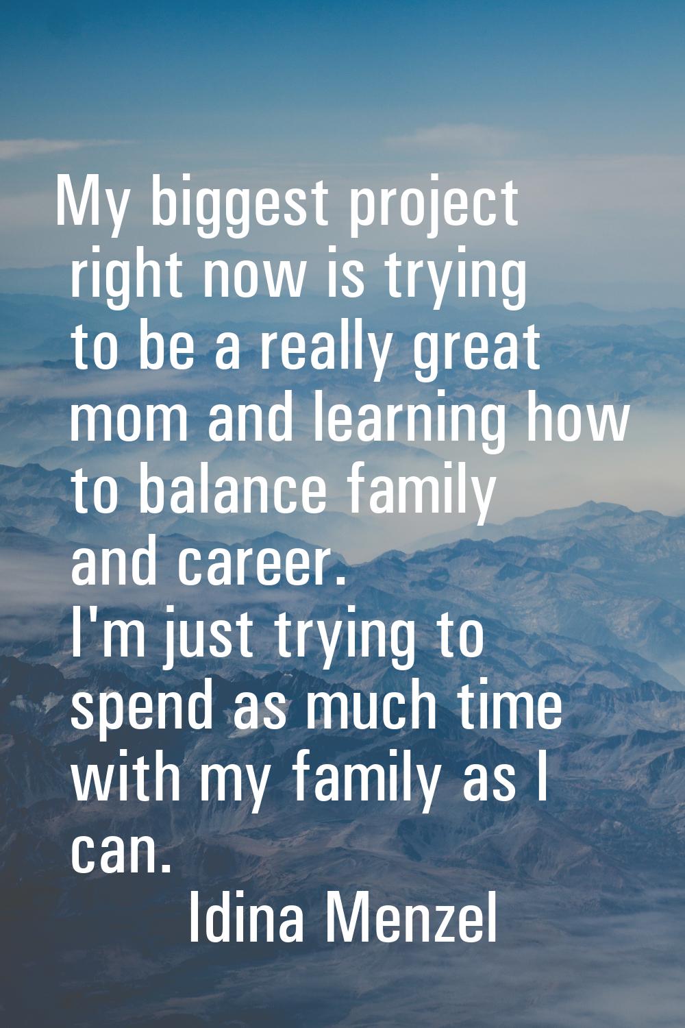 My biggest project right now is trying to be a really great mom and learning how to balance family 