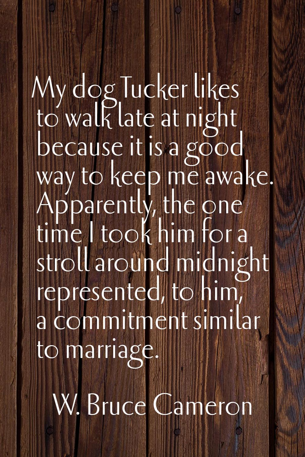 My dog Tucker likes to walk late at night because it is a good way to keep me awake. Apparently, th