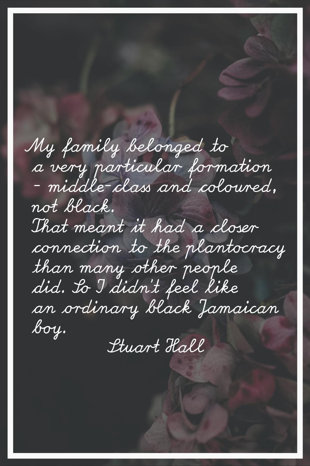 My family belonged to a very particular formation - middle-class and coloured, not black. That mean