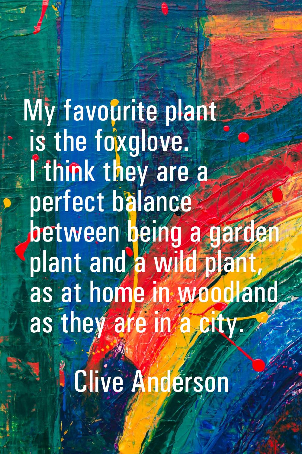 My favourite plant is the foxglove. I think they are a perfect balance between being a garden plant