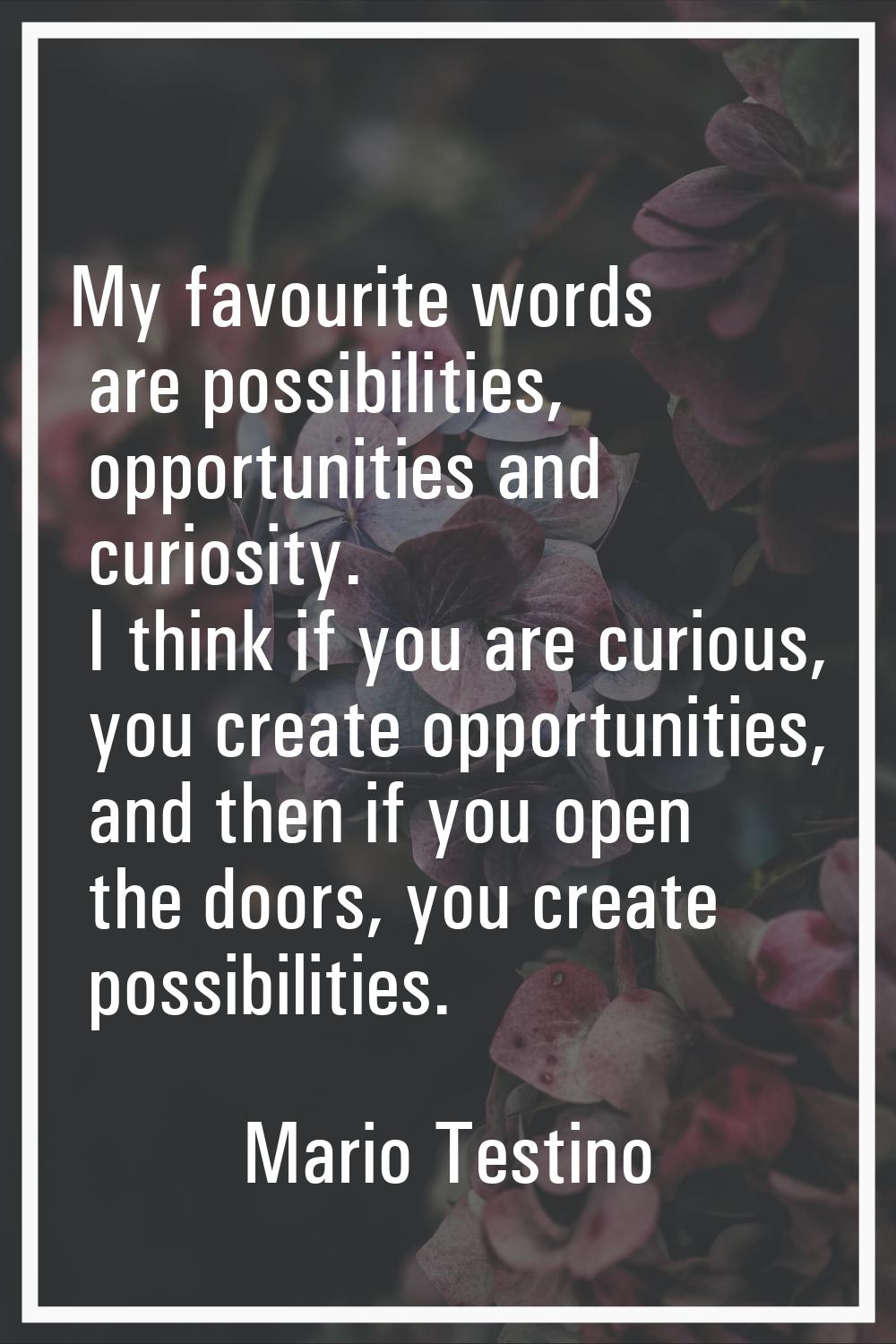 My favourite words are possibilities, opportunities and curiosity. I think if you are curious, you 