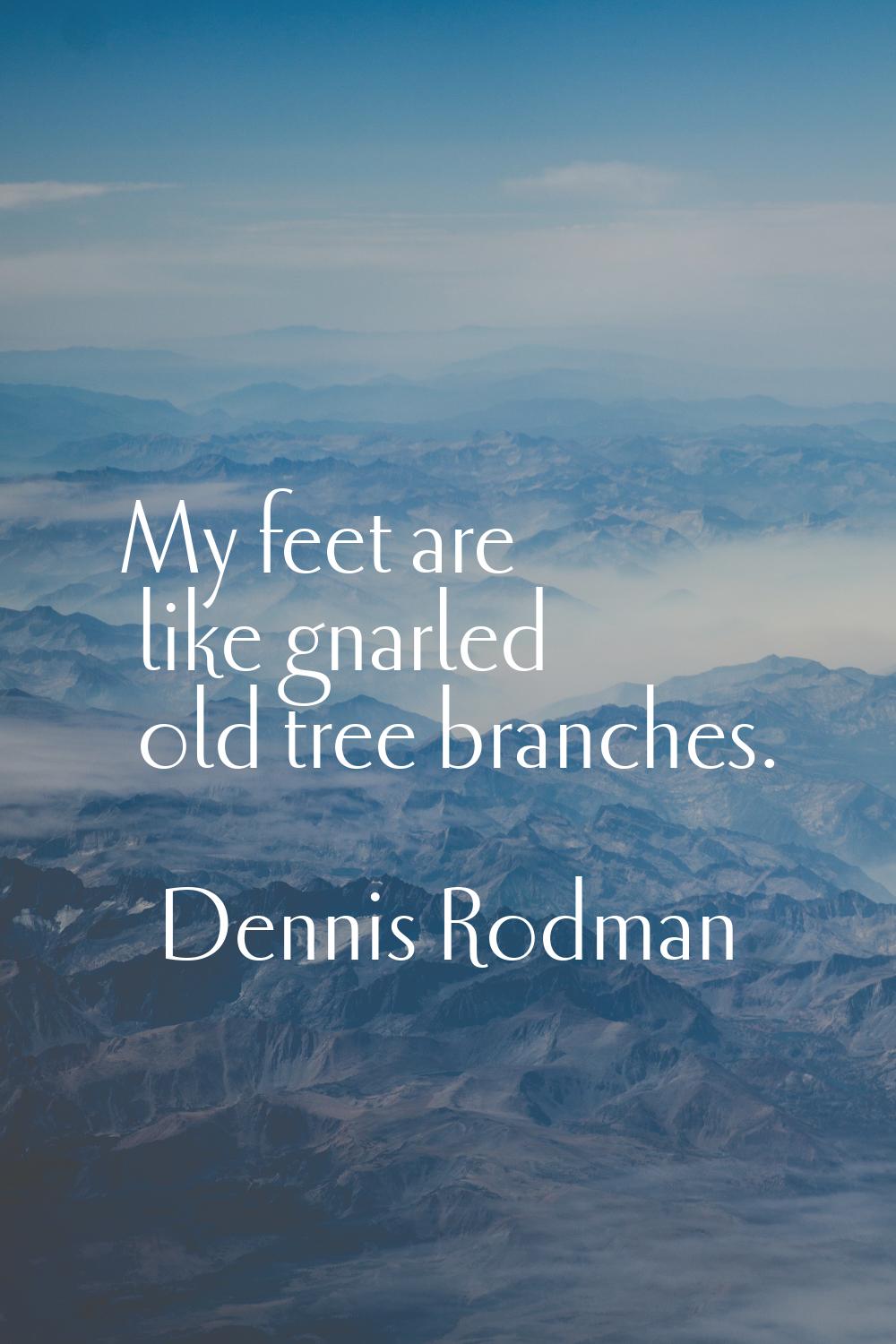 My feet are like gnarled old tree branches.
