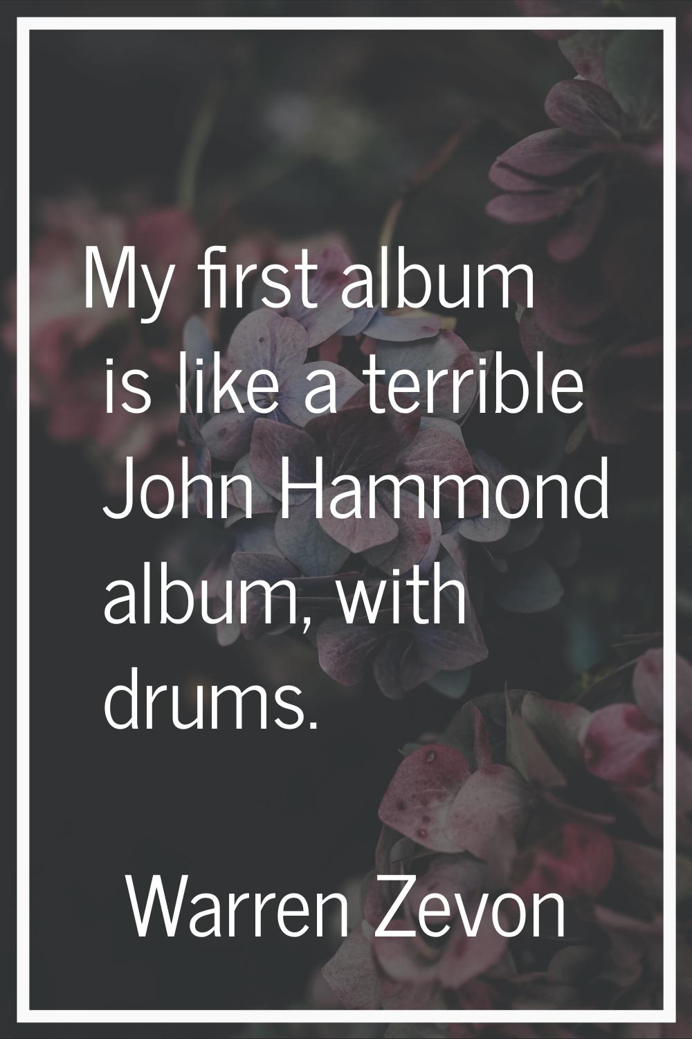 My first album is like a terrible John Hammond album, with drums.