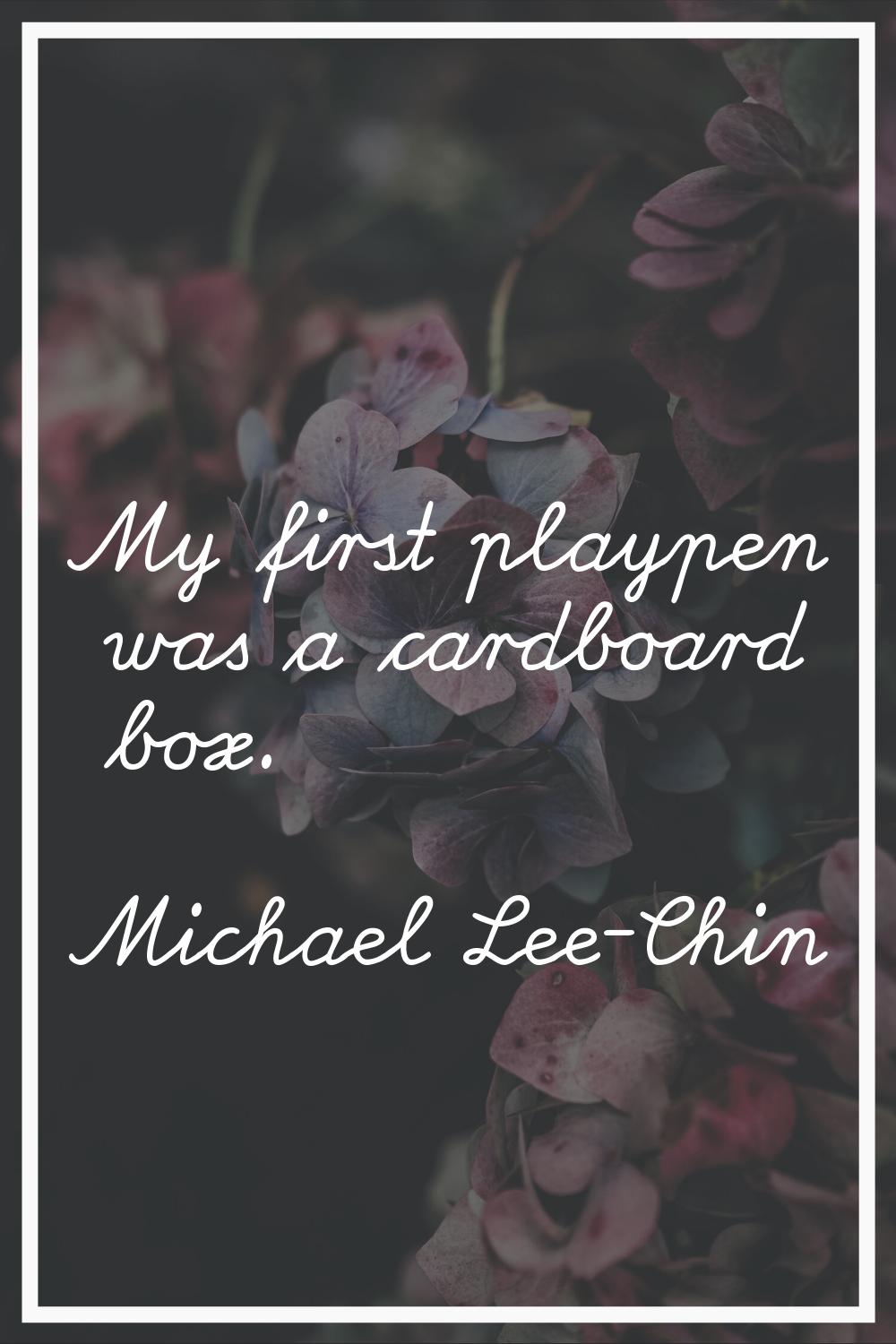 My first playpen was a cardboard box.