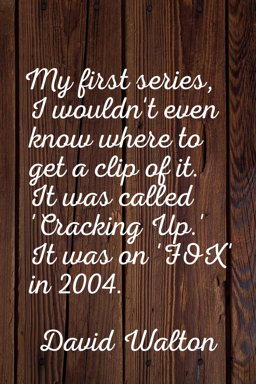 My first series, I wouldn't even know where to get a clip of it. It was called 'Cracking Up.' It wa