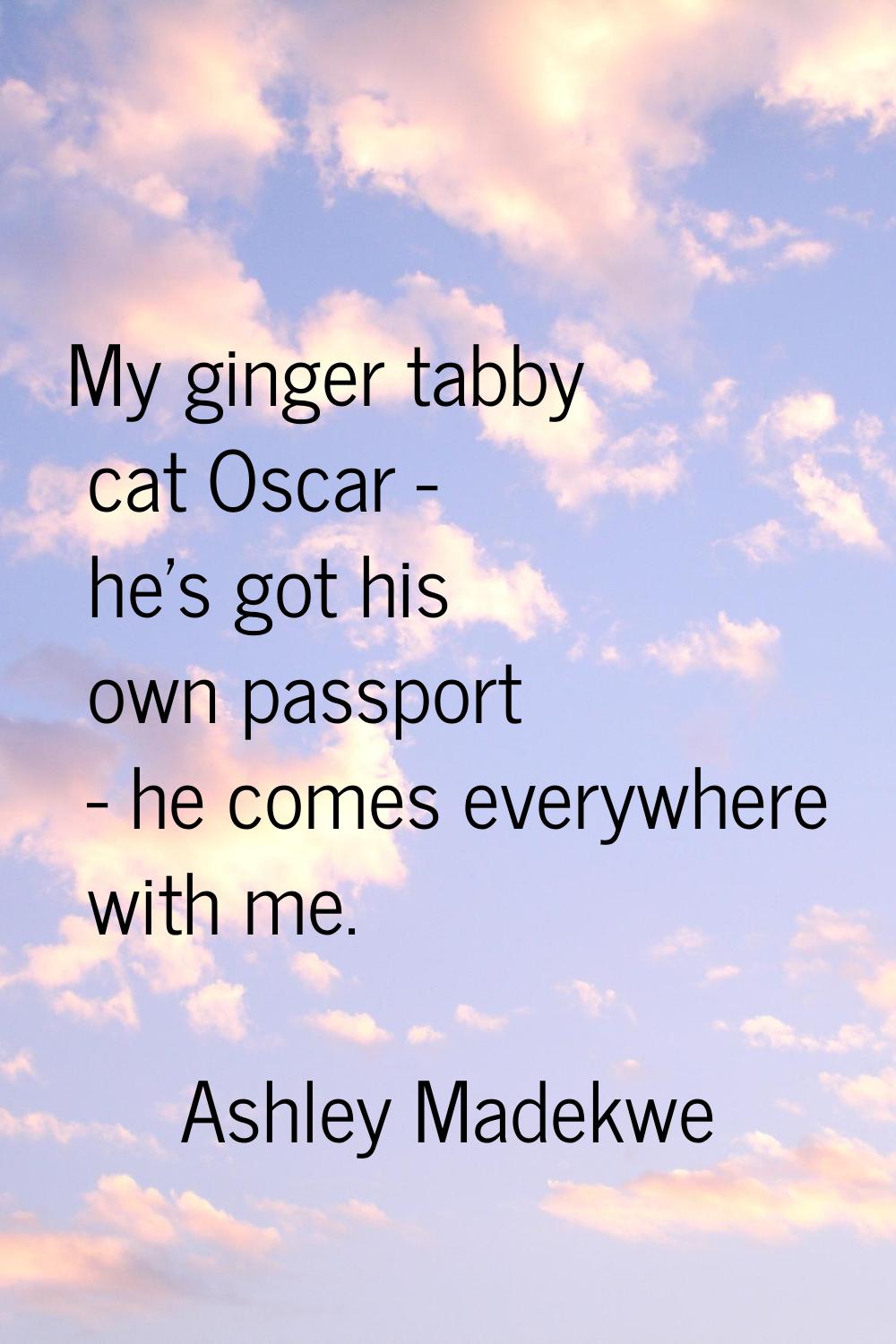 My ginger tabby cat Oscar - he's got his own passport - he comes everywhere with me.