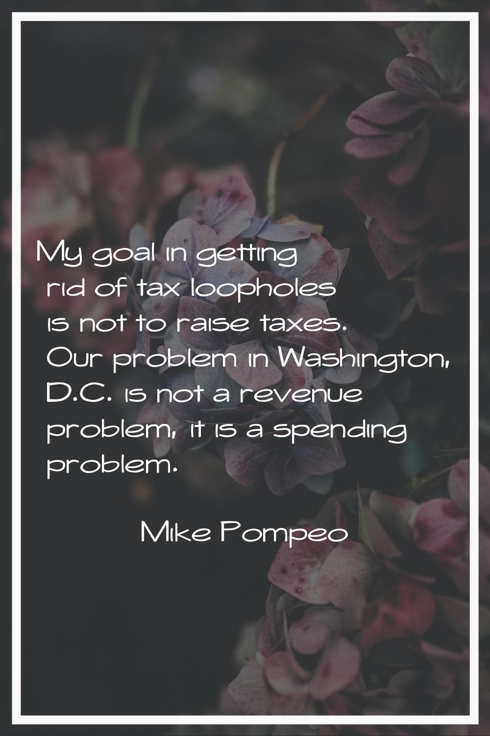 My goal in getting rid of tax loopholes is not to raise taxes. Our problem in Washington, D.C. is n