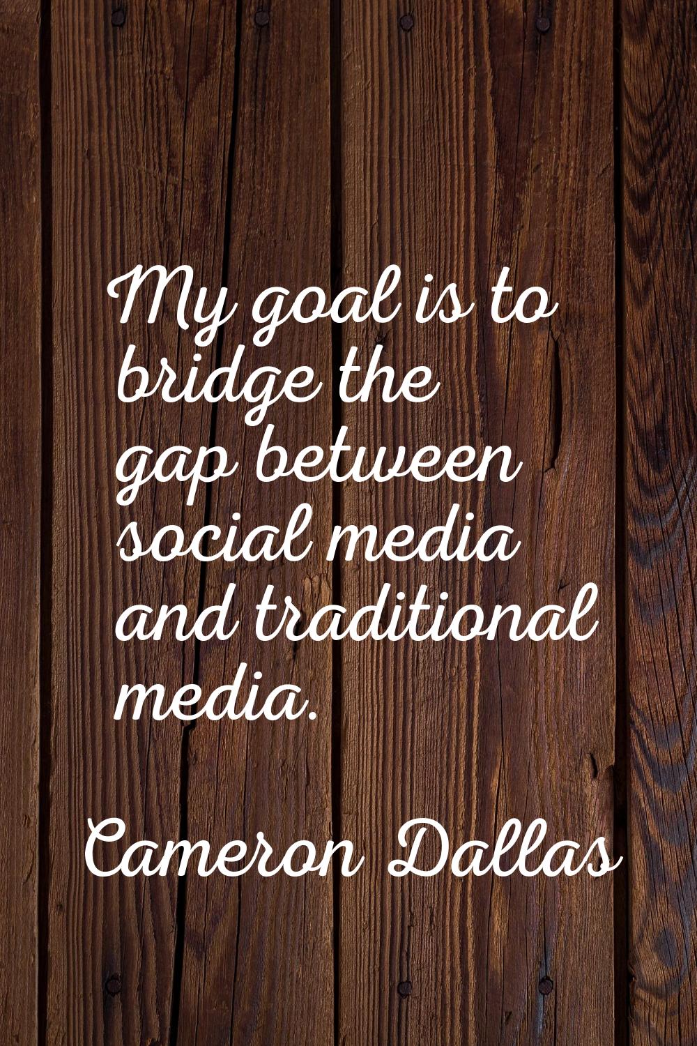 My goal is to bridge the gap between social media and traditional media.