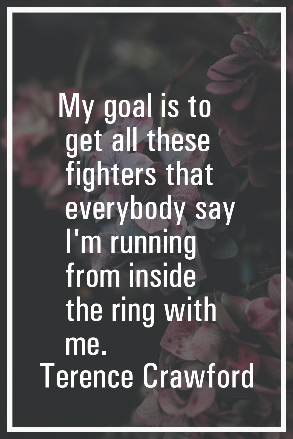 My goal is to get all these fighters that everybody say I'm running from inside the ring with me.