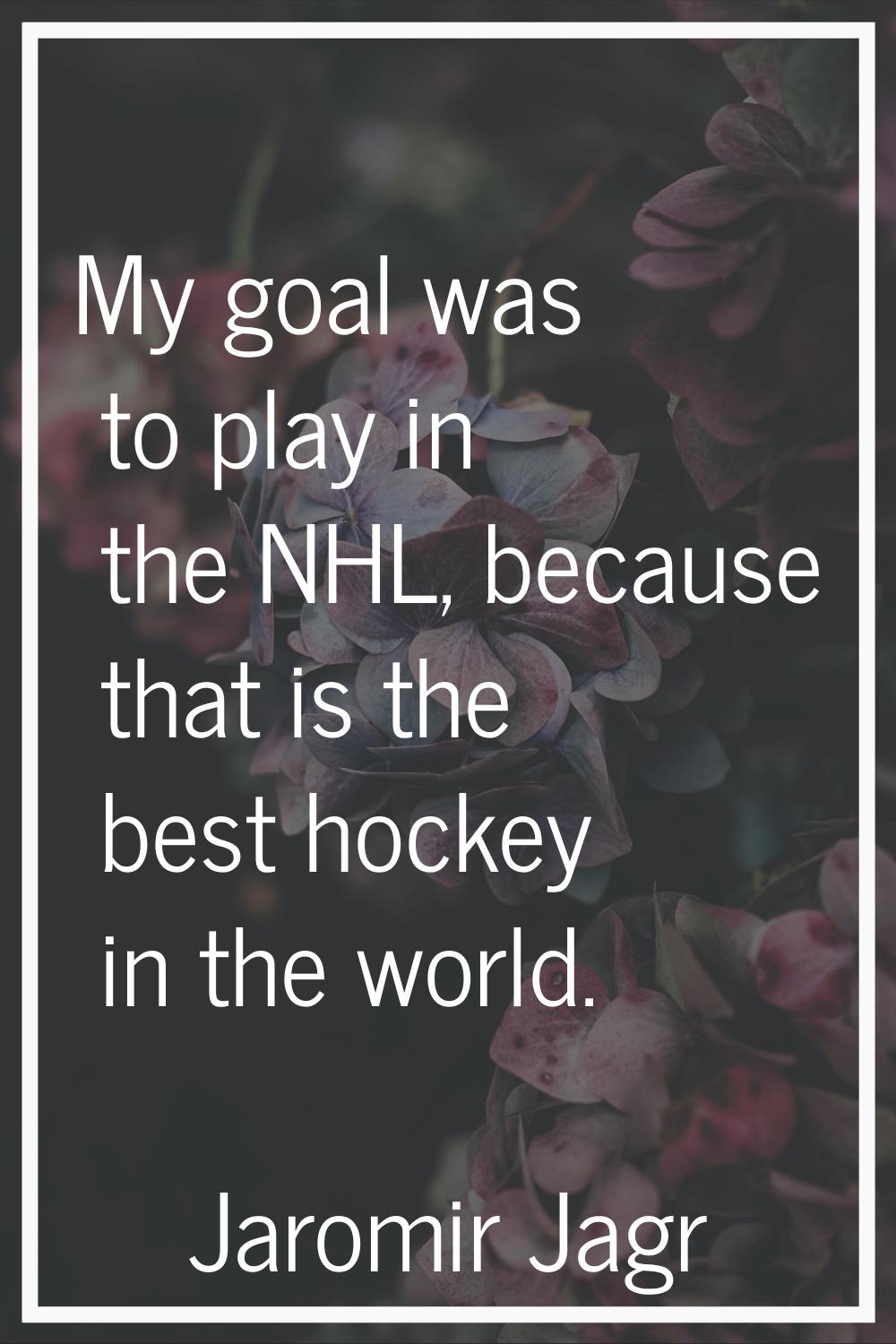 My goal was to play in the NHL, because that is the best hockey in the world.