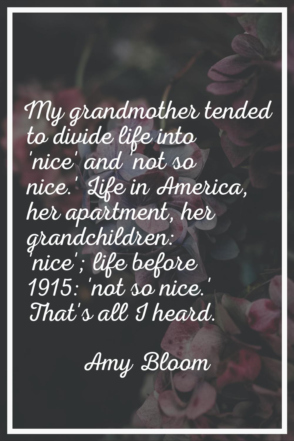 My grandmother tended to divide life into 'nice' and 'not so nice.' Life in America, her apartment,