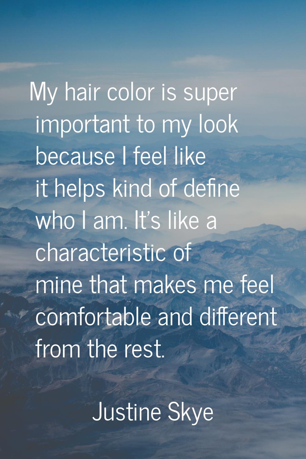 My hair color is super important to my look because I feel like it helps kind of define who I am. I