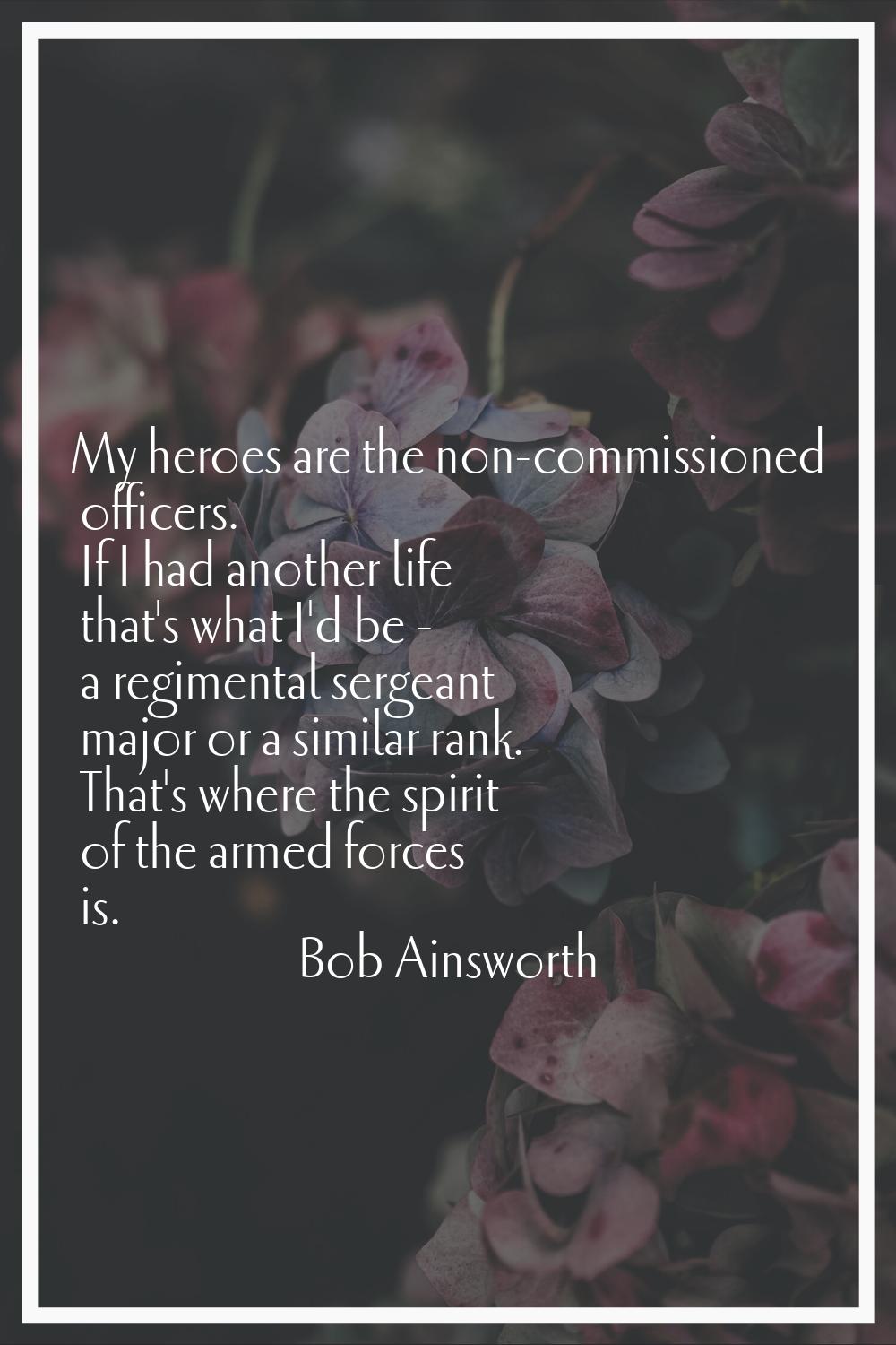 My heroes are the non-commissioned officers. If I had another life that's what I'd be - a regimenta