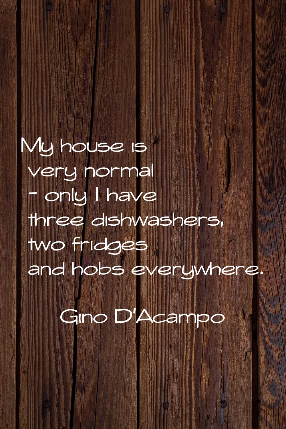 My house is very normal - only I have three dishwashers, two fridges and hobs everywhere.