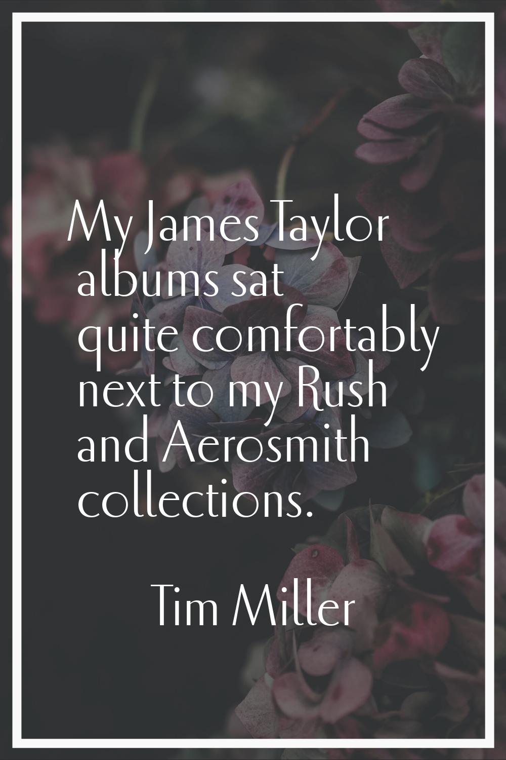 My James Taylor albums sat quite comfortably next to my Rush and Aerosmith collections.