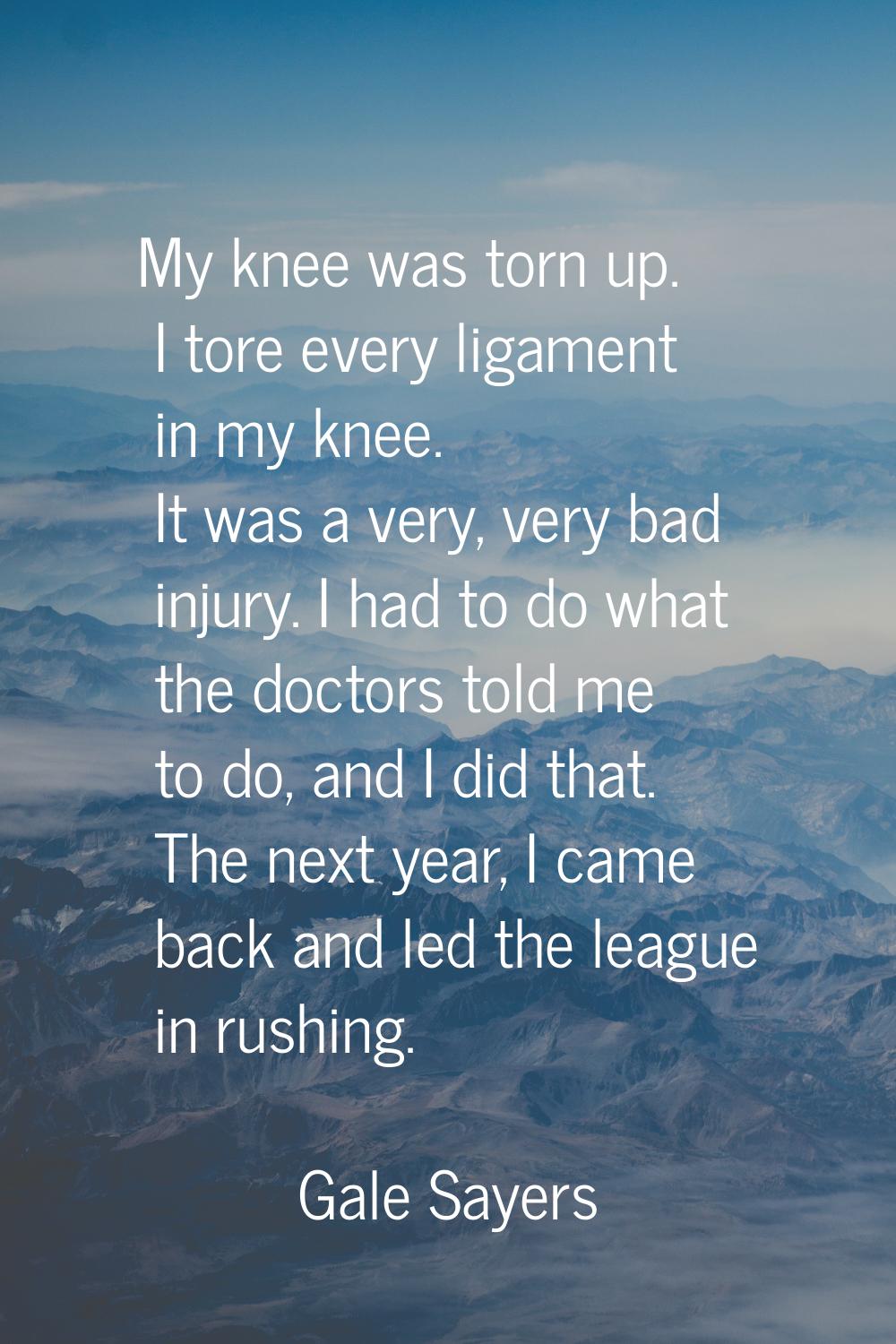 My knee was torn up. I tore every ligament in my knee. It was a very, very bad injury. I had to do 