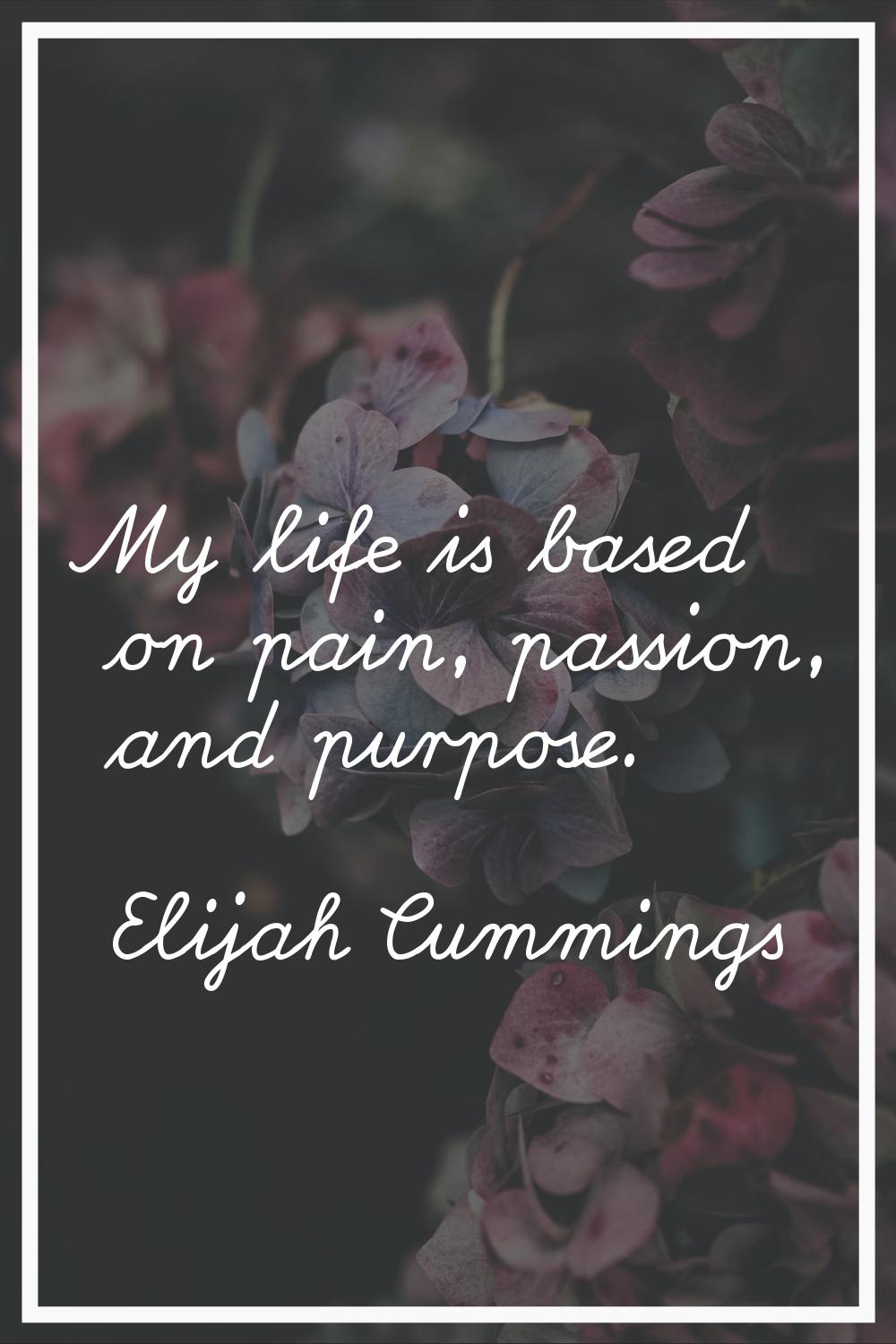 My life is based on pain, passion, and purpose.