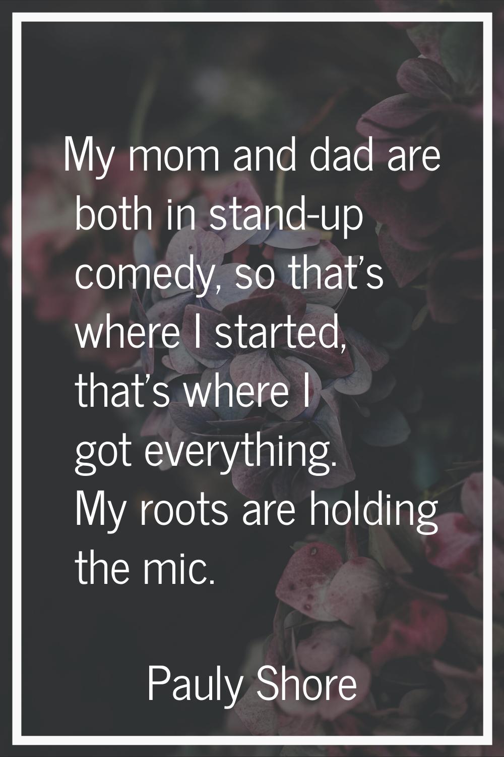 My mom and dad are both in stand-up comedy, so that's where I started, that's where I got everythin