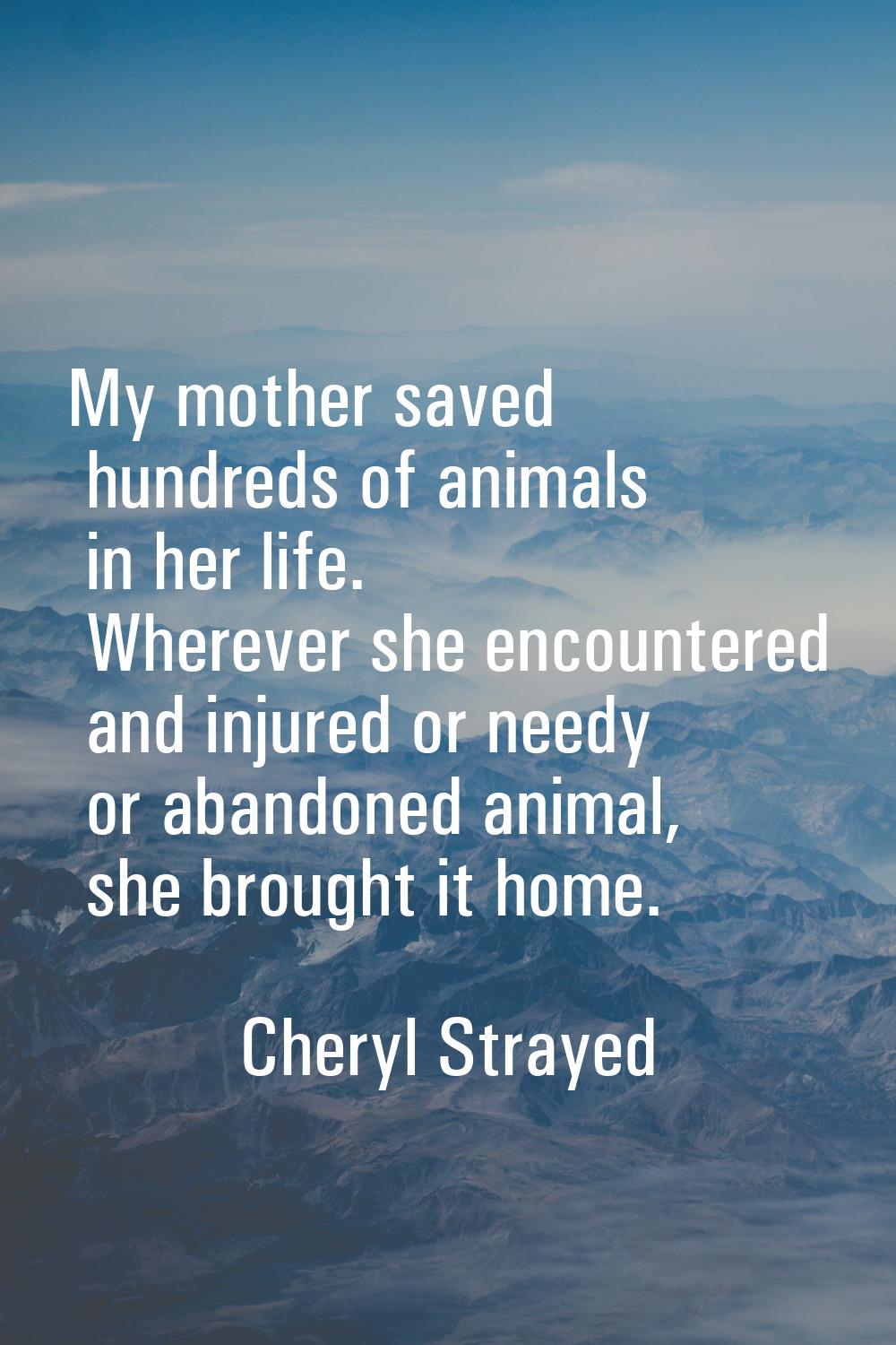 My mother saved hundreds of animals in her life. Wherever she encountered and injured or needy or a