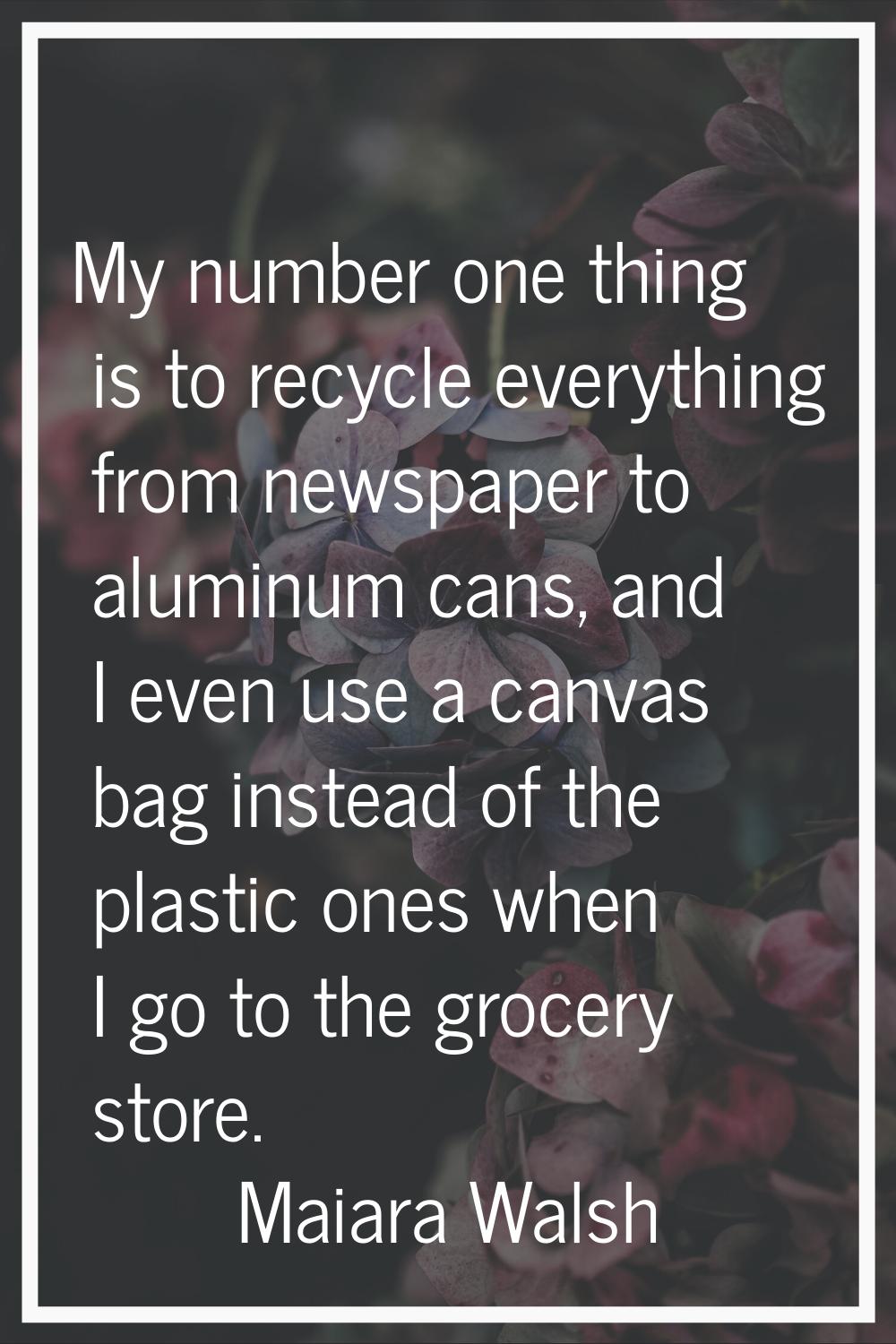 My number one thing is to recycle everything from newspaper to aluminum cans, and I even use a canv