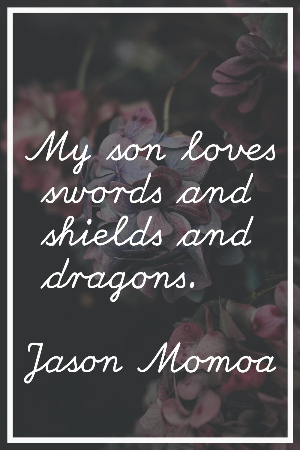 My son loves swords and shields and dragons.