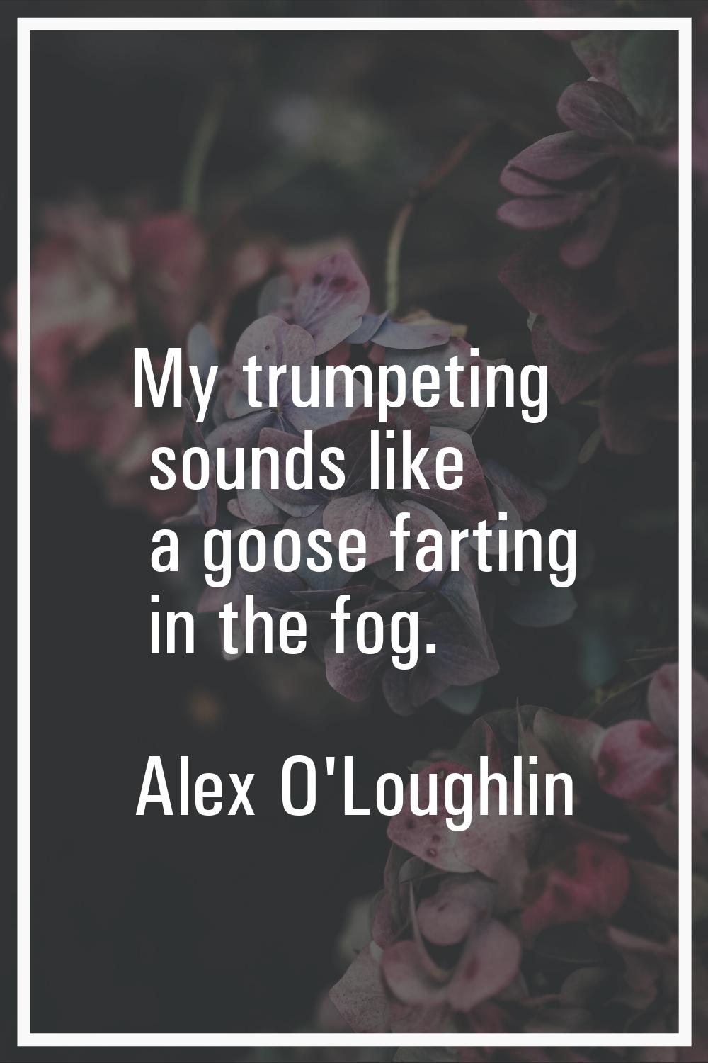 My trumpeting sounds like a goose farting in the fog.