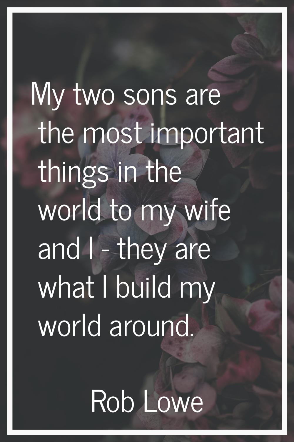 My two sons are the most important things in the world to my wife and I - they are what I build my 