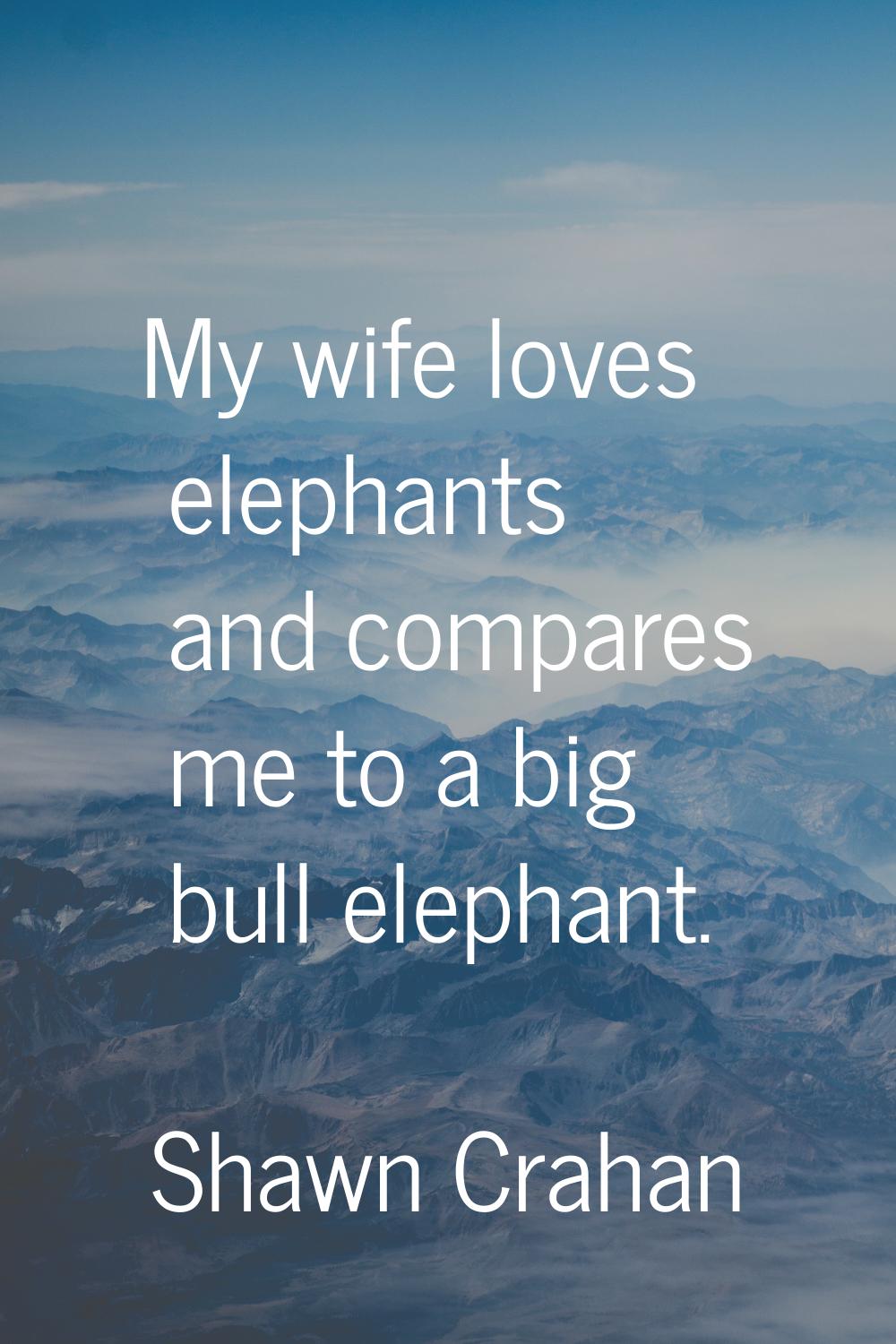 My wife loves elephants and compares me to a big bull elephant.