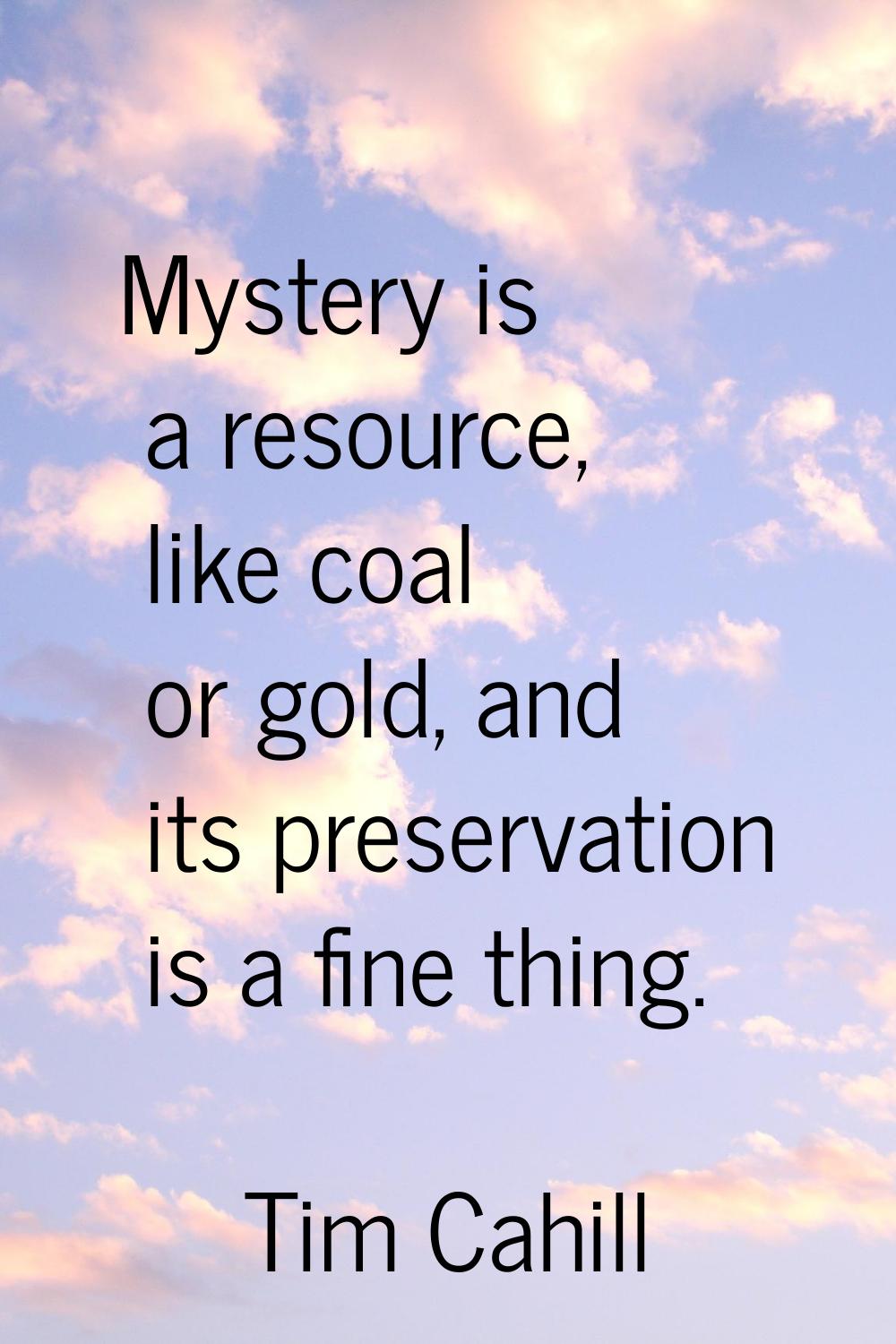 Mystery is a resource, like coal or gold, and its preservation is a fine thing.