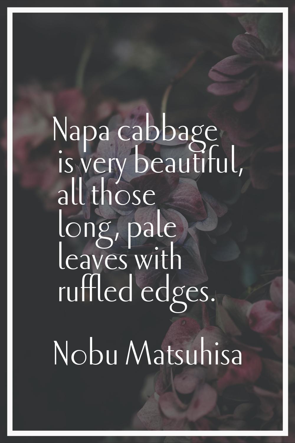 Napa cabbage is very beautiful, all those long, pale leaves with ruffled edges.