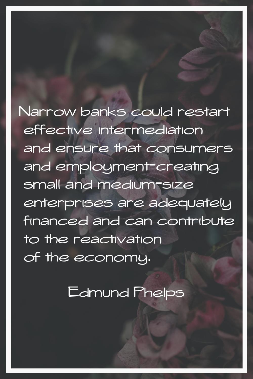 Narrow banks could restart effective intermediation and ensure that consumers and employment-creati
