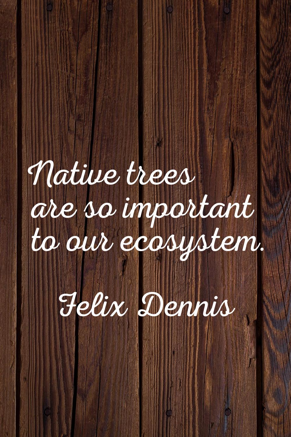Native trees are so important to our ecosystem.