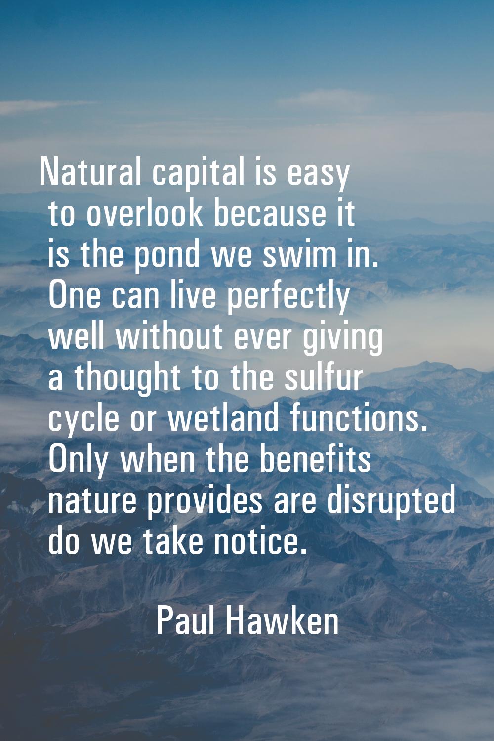 Natural capital is easy to overlook because it is the pond we swim in. One can live perfectly well 