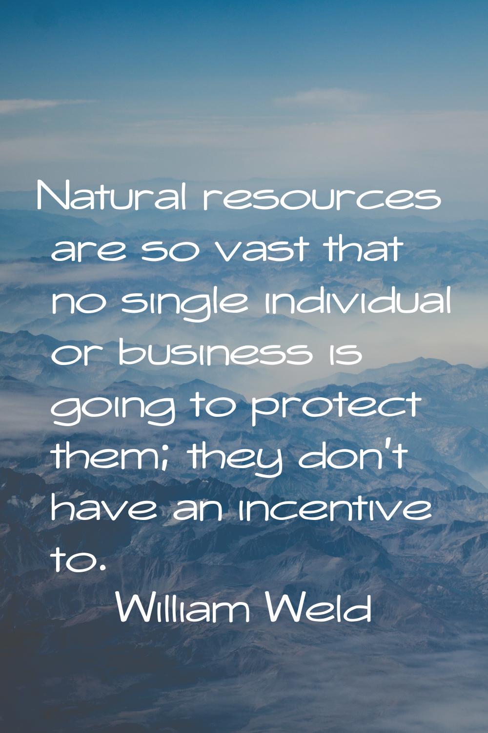 Natural resources are so vast that no single individual or business is going to protect them; they 