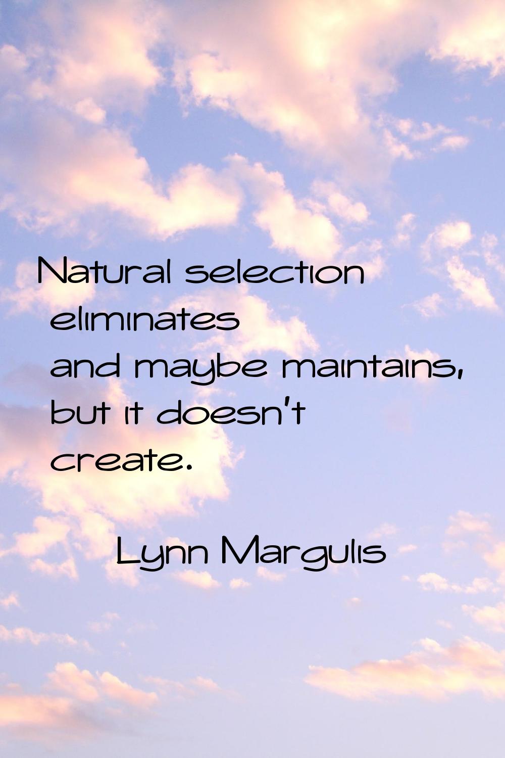 Natural selection eliminates and maybe maintains, but it doesn't create.